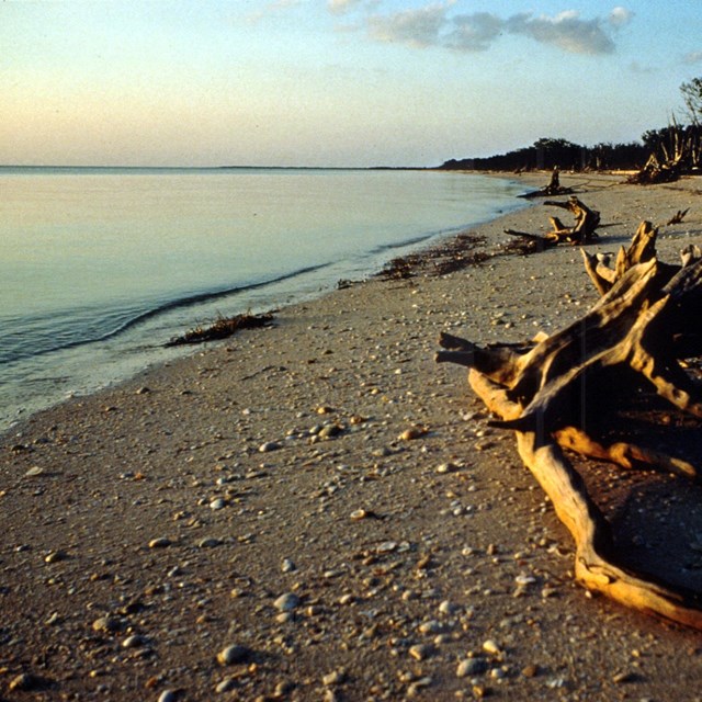 Everglades National Park 