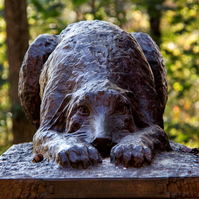 The Irish Wolfhound guards the Irish Brigade monument.