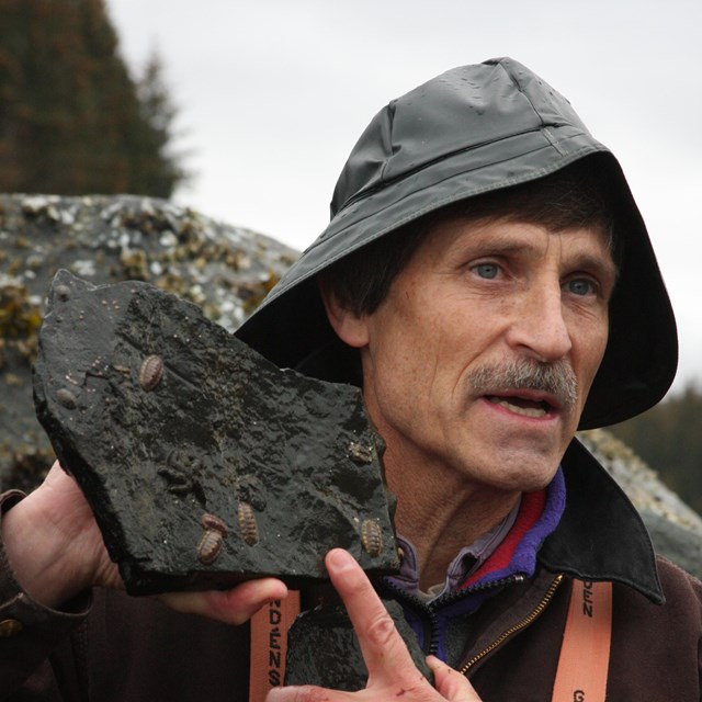 a man in rain gear holds up a rock with snails and other marine animals on it