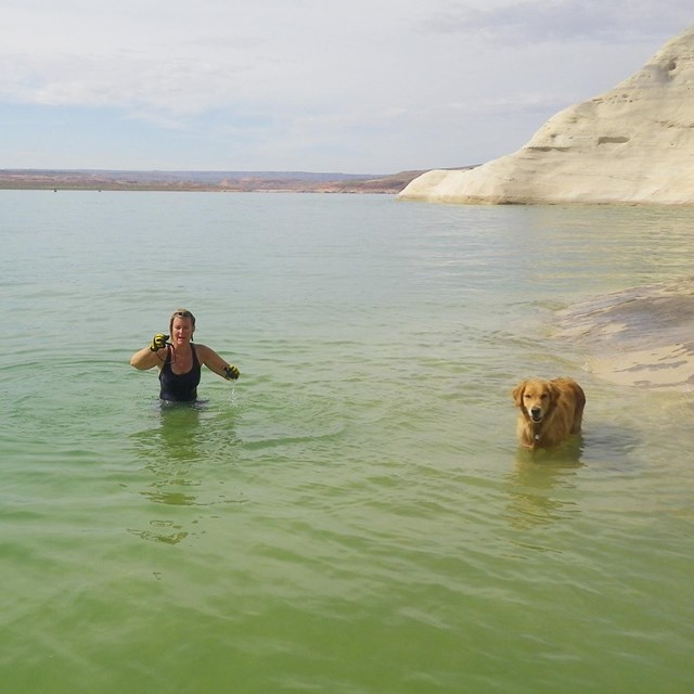 person and dog waist deep in murky lake