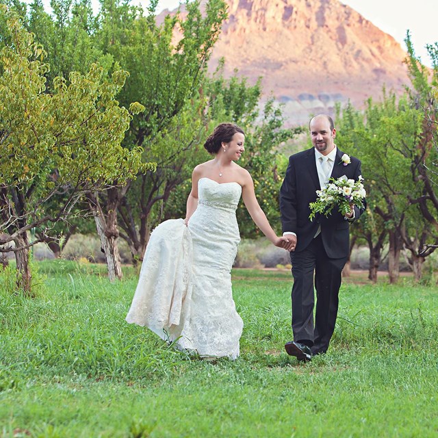 Bridge and groom walk through Lonely Dell orchard