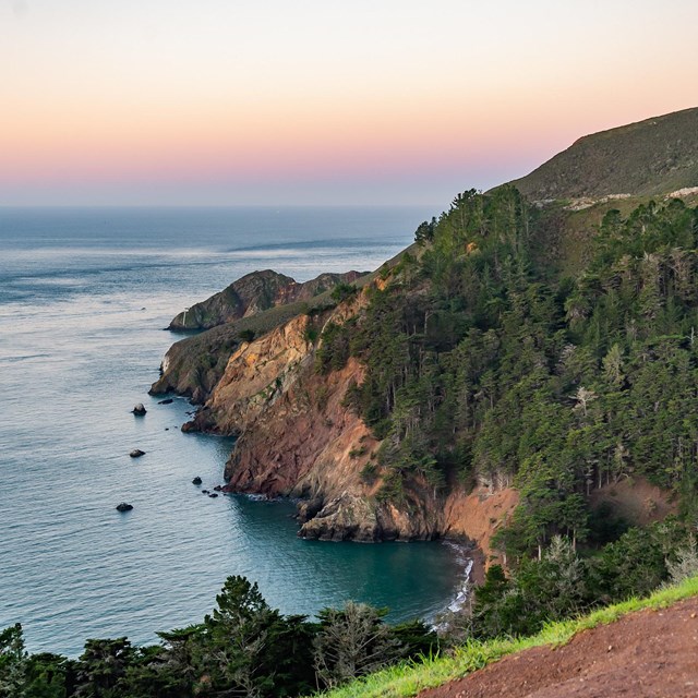 Pacific coast, tree lined, marin headlands