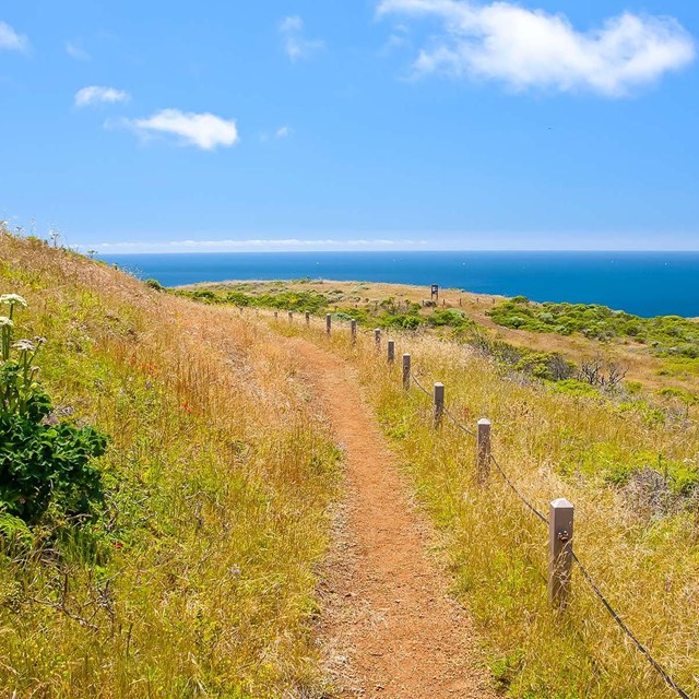 narrow dirt trails wraps hillside overlooking pacific ocean