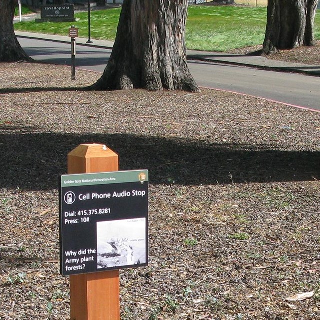 Sign for cell phone tour stop with tree trunks behind