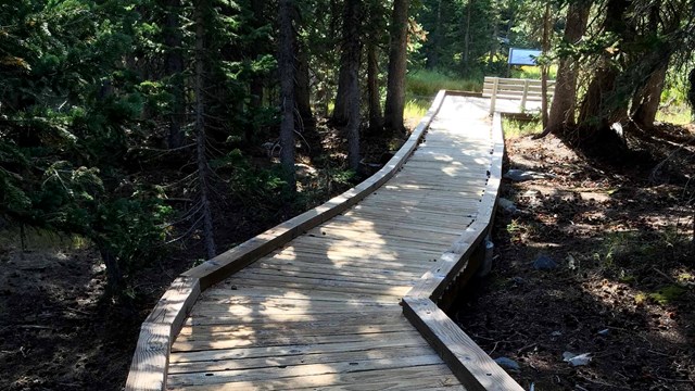 A brown, wooden boardwalk leads into trees during the daytime with light shining through the canopy