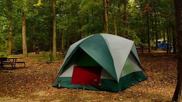 A dome tent stands in the Greenbelt Park campground