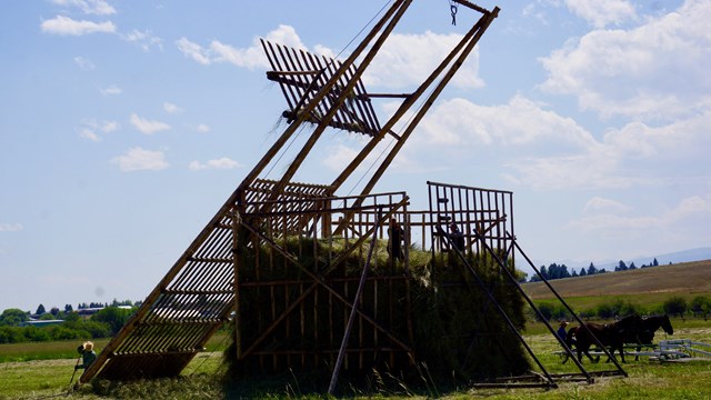 Beaverslide Haystacker with empty slide that just dumped load of hay on top of stack.