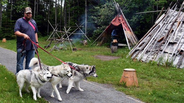 A person walking three huskies on leash in front of a birch lodge.