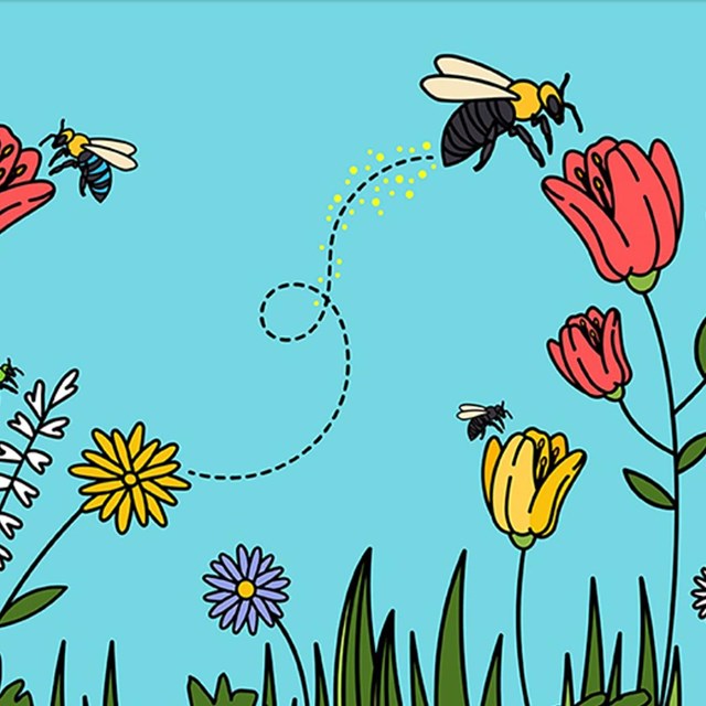 A cartoon of bees and flowers.