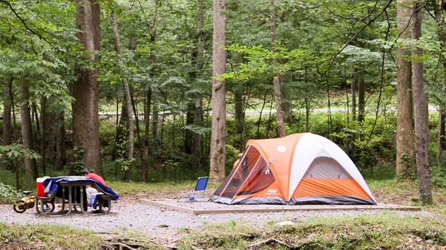 An orange tent in a campsite with a picnic table surrounded by green trees