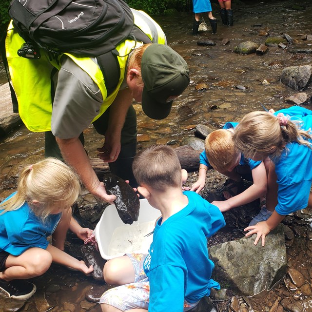 a group of children looking at a rock with a ranger in a stream.