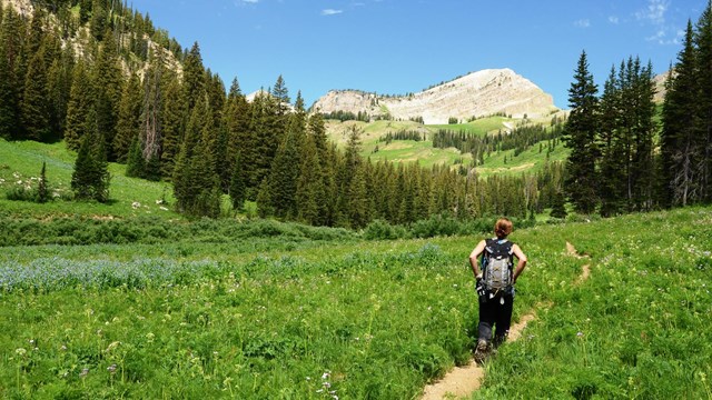 Hiker on the granite canyon trail