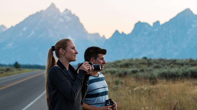 Visitors watching wildlife on side of road