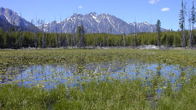 Shallow pond in high mountains.