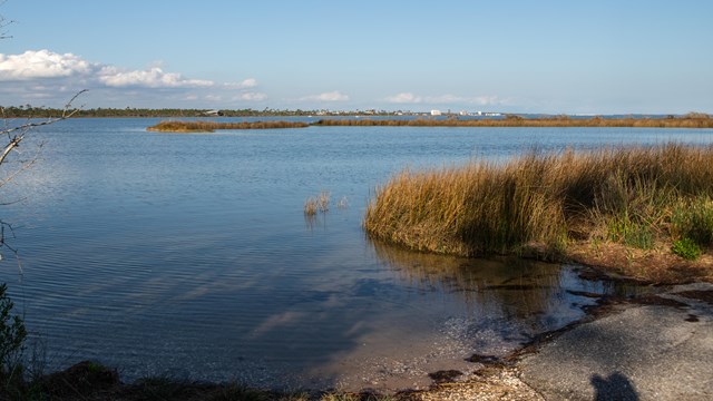 A concrete boat launch sinks into the water with aquatic vegetation nearby.