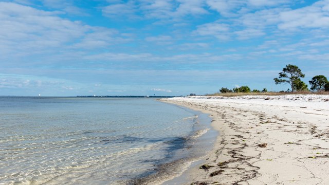 Clear blue water extends onto a sandy beach with vegetation nearby.