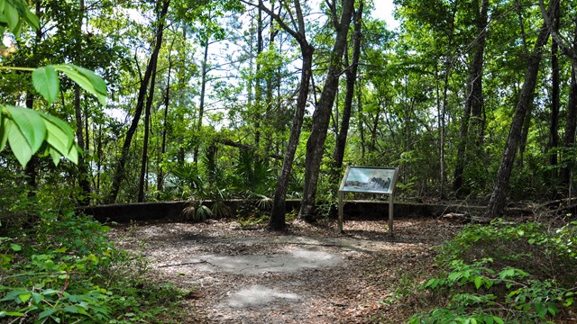 A forest opens to a clearing with a single wayside.