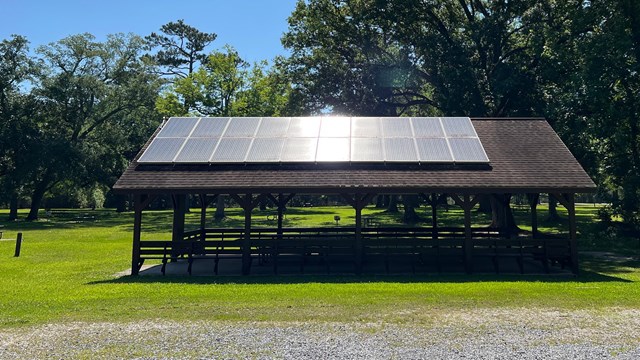 A large grassy area sheltered by trees with picnic tables scattered throughout.