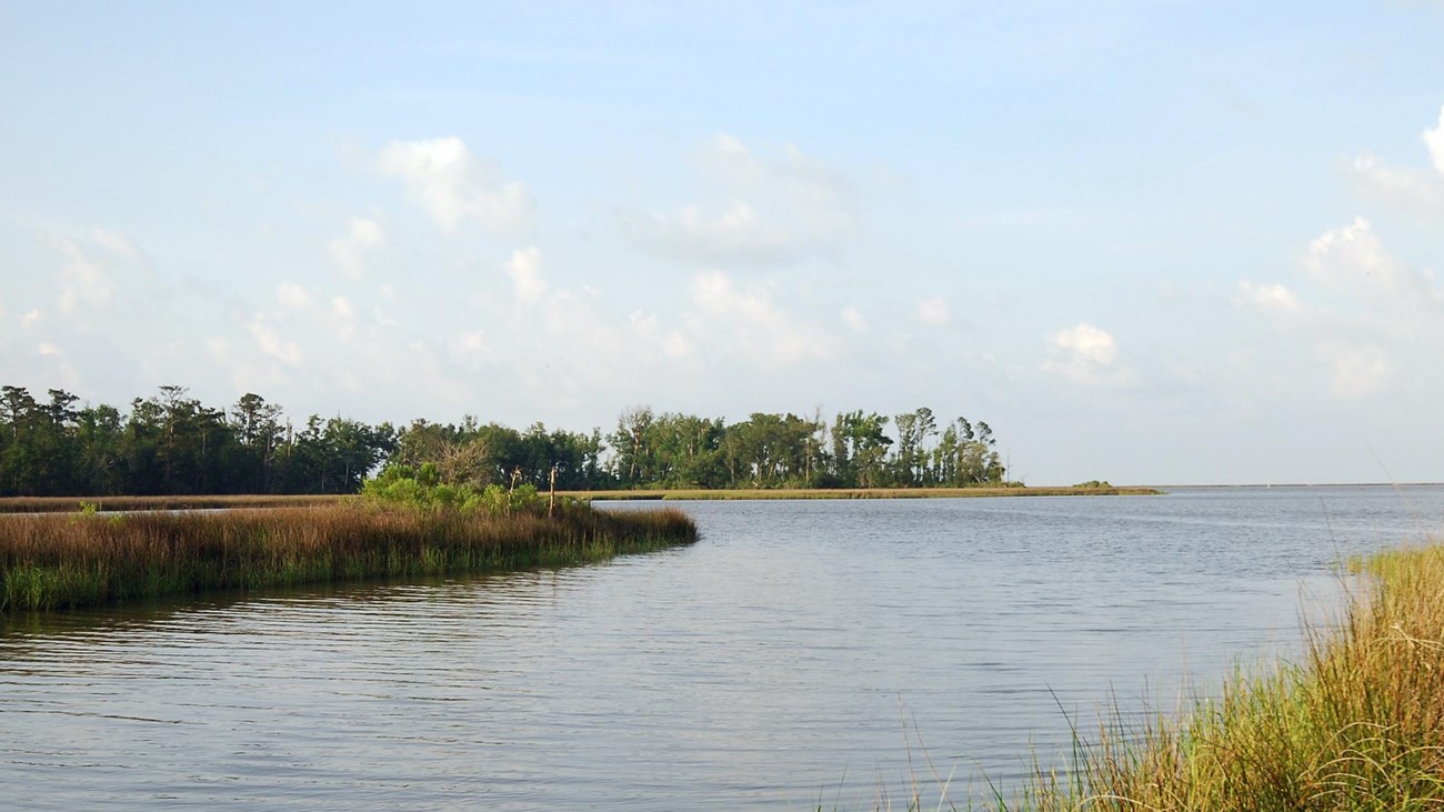 Davis bayou sunny