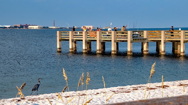 A man casts a fishing line on the edge of a sandy beach.