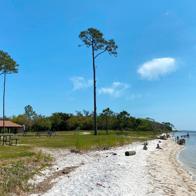A sandy path winds to beach with pavilion.