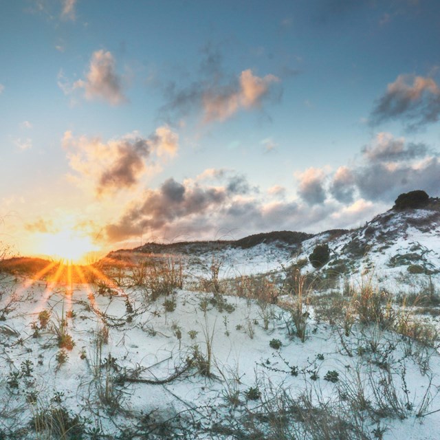 The sun peaks over white sand dunes.