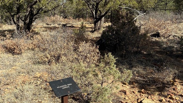 A metal sign in front of a wilderness campsite pad