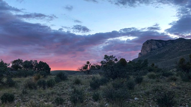 A sunset view towards El Capitan with blue, purple, and pink hues