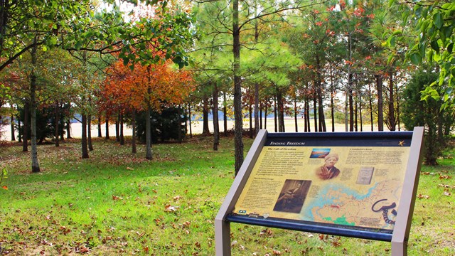 Wayside sign marker surrounded by trees