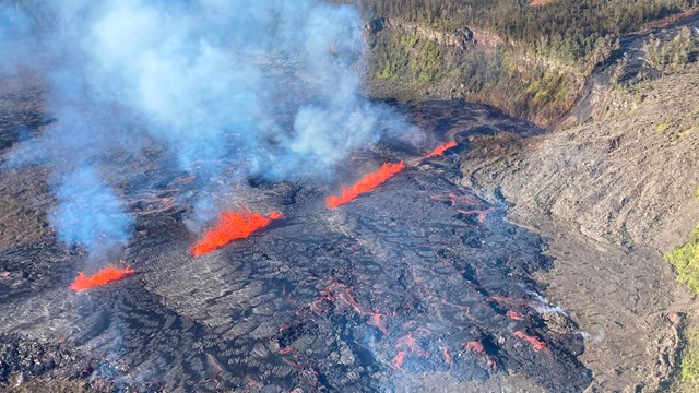 Bright red lava fountains in a line at the bottom of a dark lava crater surrounded by vegitation.