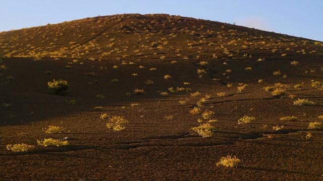 A cinder cone with scattered vegetation