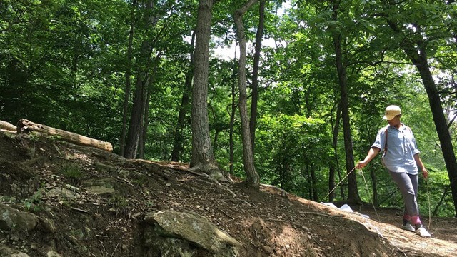 Woman dragging white sheet to collect ticks in forest