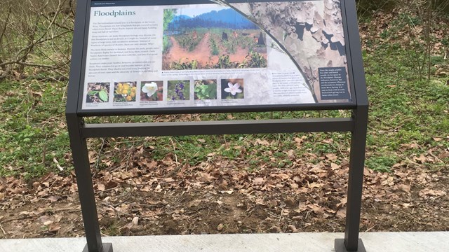 Paved Path at Sulphur Works