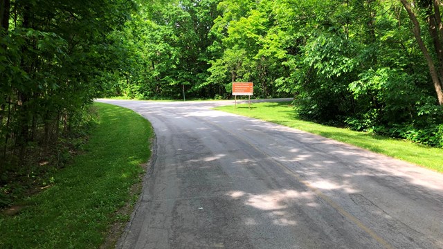 Trees surrounding a road with a brown sign in the distance