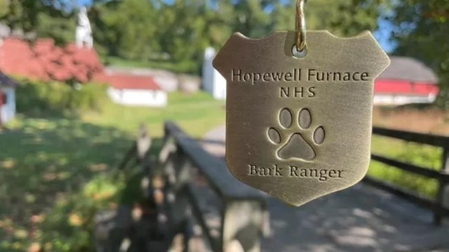 B.A.R.K. Ranger medallion in foreground with blurry village in background