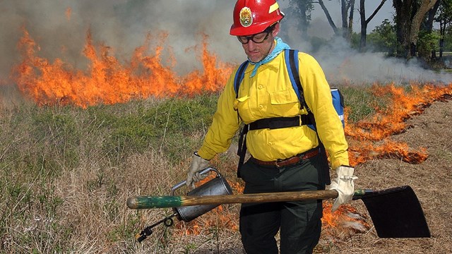 Prescribed Fire at Homestead