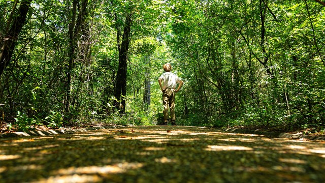 A man looking for direction on a trail