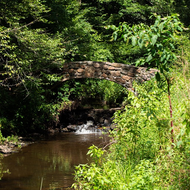 An early morning view of Rick's pond with the historic stone bridge in the background.