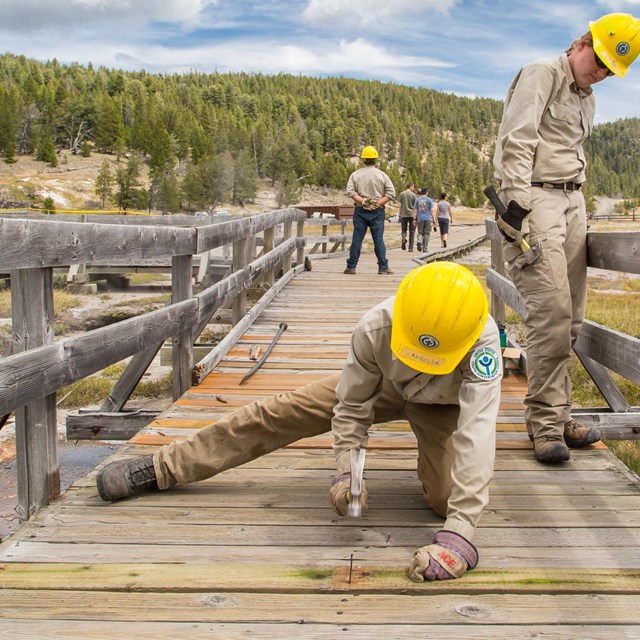 Trail crew fixing nails on a boardwalk 