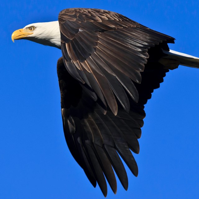 ©Tim Hauf, timhaufphotography.com