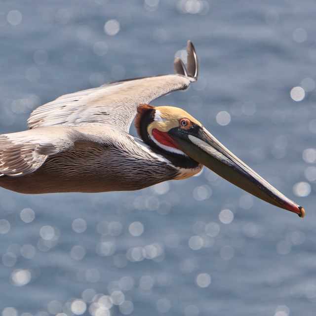 ©Tim Hauf, timhaufphotography.com