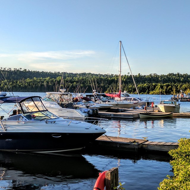 sailboats in the harbor on a calm day