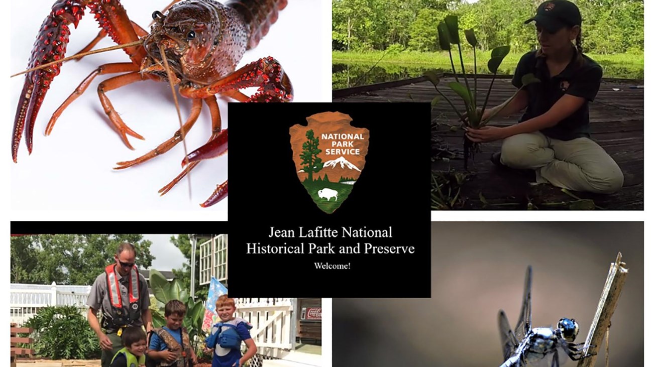 a crawfish, an adult with kids in life jackets, a dragon fly, a scientist holding an aquatic plant