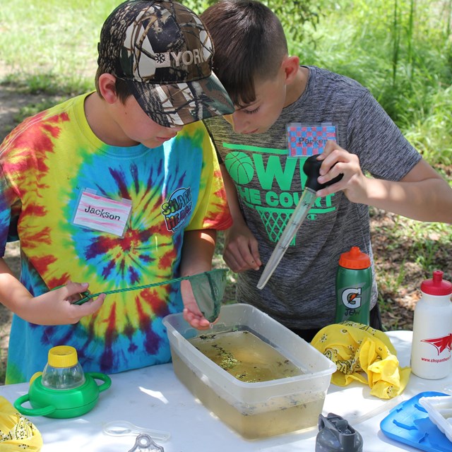 Two boys peer into a bin of murky water and hold pipettes.
