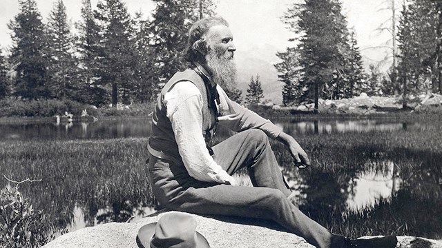 A senior man with a long beard is sitting on a rock, his hat at his side. Trees and water. 