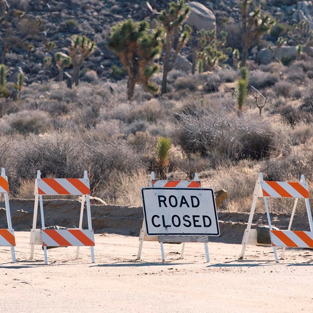 Cones and a Road Closed sign block a road. 