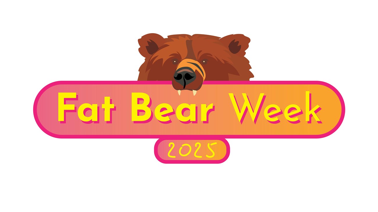text that reads fat bear week 2025