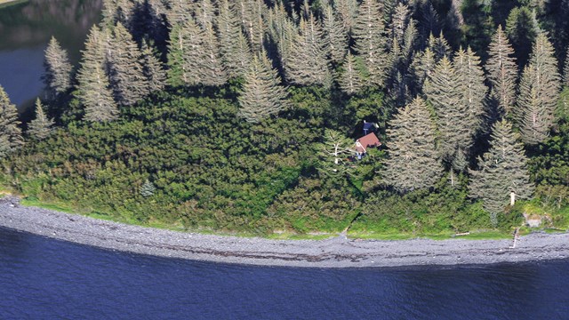 An aerial view of a cabin set in a forest along the water