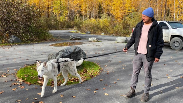 A person walks a dog with a leash