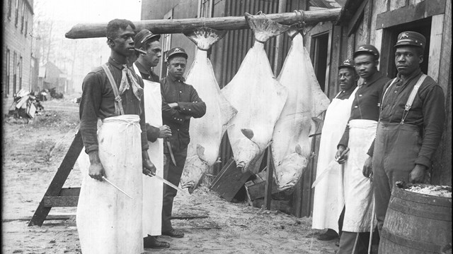 Black and white photo of six men standing in front of three large halibut.